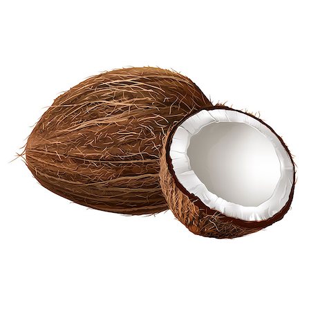 Coconut realistic isolated illustration on white background. Foto de stock - Royalty-Free Super Valor e Assinatura, Número: 400-08890842