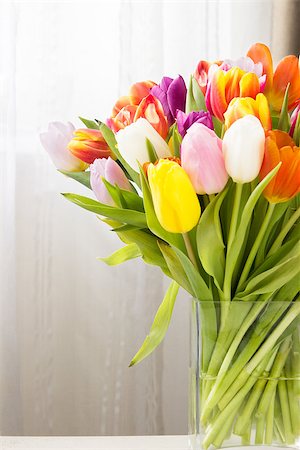 simsearch:400-06356460,k - bouquet of Mix tulips flowers near the window Foto de stock - Super Valor sin royalties y Suscripción, Código: 400-08892561