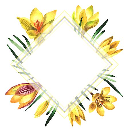 simsearch:622-02354988,k - Wildflower rose crocuses frame in a watercolor style isolated. Full name of the plant: crocuses,saffron. Aquarelle wild flower for background, texture, wrapper pattern, frame or border. Stock Photo - Budget Royalty-Free & Subscription, Code: 400-08892724