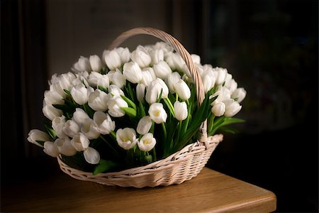 shyrix (artist) - White tulips, bouquet in basket close-up. Standing on a wooden table. Stockbilder - Microstock & Abonnement, Bildnummer: 400-08892824