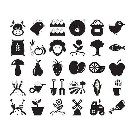 collection of agriculture icon vector Stock Photo - Budget Royalty-Free & Subscription, Code: 400-08893113