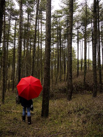 Woman walking through the woods with a red umbrella. Stock Photo - Budget Royalty-Free & Subscription, Code: 400-08893513