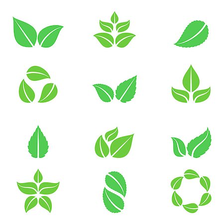 simsearch:400-09121794,k - Green leaves of trees and plants isolated on white background. Ecology icons or logo collection Stock Photo - Budget Royalty-Free & Subscription, Code: 400-08893539