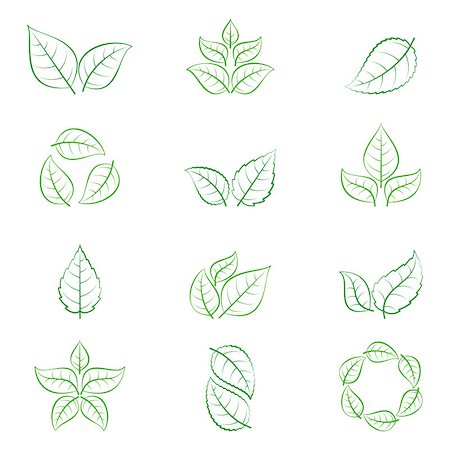 simsearch:400-09121794,k - Green leaves of trees and plants isolated on white background. Ecology icons or logo collection Stock Photo - Budget Royalty-Free & Subscription, Code: 400-08893540
