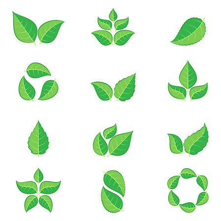 simsearch:400-09121794,k - Green leaves of trees and plants isolated on white background. Ecology icons or logo collection Stock Photo - Budget Royalty-Free & Subscription, Code: 400-08893726