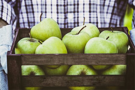 simsearch:400-08552542,k - Organic fruit. Farmers hands with freshly harvested fruit. Fresh organic apples. Stock Photo - Budget Royalty-Free & Subscription, Code: 400-08900069