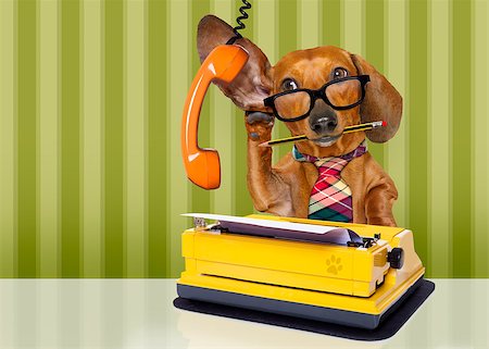 simsearch:400-08413217,k - office worker businessman dachshund sausage  dog  as  boss and chef , with suitcase or bag  as a secretary,  with  tie , at the office Stock Photo - Budget Royalty-Free & Subscription, Code: 400-08900221