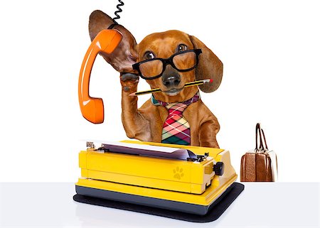 simsearch:400-08413217,k - office worker businessman dachshund sausage  dog  as  boss and chef , with suitcase  and typewriter  listening and hearing carefully on the phone or telephone  , isolated on white background Stock Photo - Budget Royalty-Free & Subscription, Code: 400-08900234