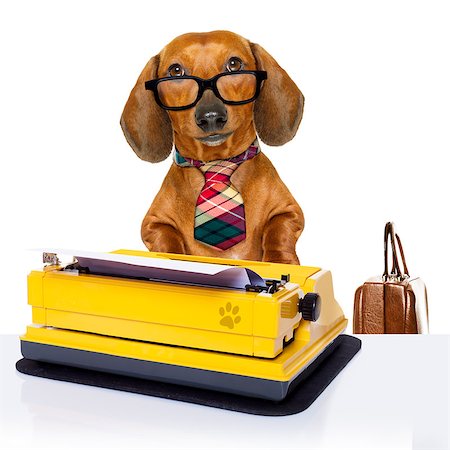 simsearch:400-08413217,k - office worker businessman dachshund sausage  dog  as  boss and chef , with suitcase  and typewriter  with  tie , isolated on white background Stock Photo - Budget Royalty-Free & Subscription, Code: 400-08900233