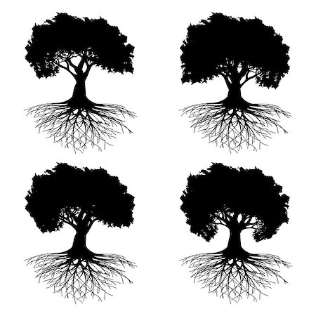 Illustration Collection silhouette tree with roots on a white background. Stock Photo - Budget Royalty-Free & Subscription, Code: 400-08916473