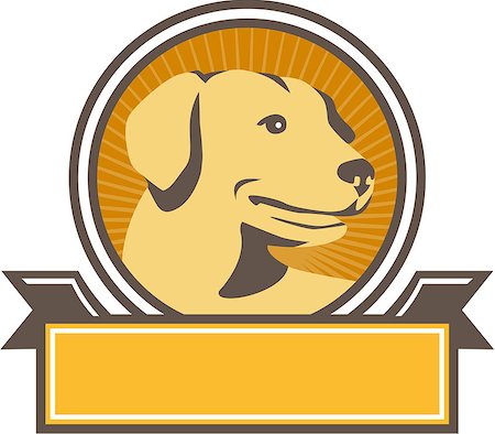 simsearch:400-08627495,k - Illustration of a yellow labrador golden retriever dog head looking to the side viewed from front set inside circle with sunburst in the background done in retro style. Stock Photo - Budget Royalty-Free & Subscription, Code: 400-08916566