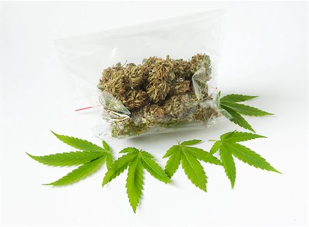 simsearch:400-08493359,k - cannabis marijunana medicine dose bag green leaves Stock Photo - Budget Royalty-Free & Subscription, Code: 400-08916661