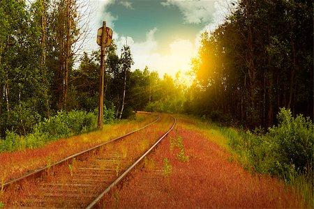 simsearch:400-05926882,k - Abandoned railroad in the overgrown greenery area Stock Photo - Budget Royalty-Free & Subscription, Code: 400-08916820