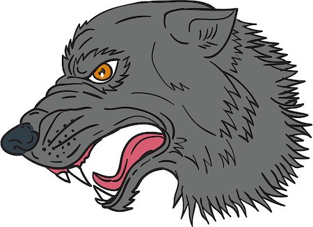 simsearch:400-08916977,k - Drawing sketch style illustration of grey wolf head growling viewed from the side set on isolated white background. Stock Photo - Budget Royalty-Free & Subscription, Code: 400-08917300