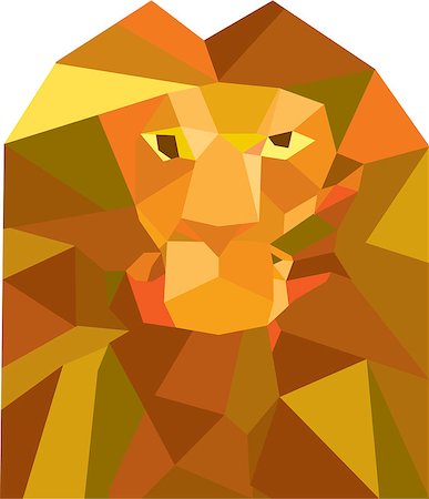 simsearch:400-08653412,k - Low polygon style illustration of a lion big cat head viewed from front set on isolated white background. Stock Photo - Budget Royalty-Free & Subscription, Code: 400-08918139