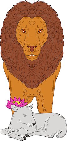 simsearch:400-08917792,k - Drawing sketch style illustration of a lion standing over lamb with lotus flower on its head viewed from front set on isolated white background. Photographie de stock - Aubaine LD & Abonnement, Code: 400-08919274