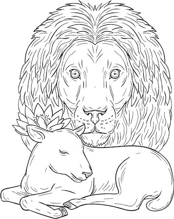 simsearch:400-08864013,k - Drawing sketch style illustration of a lion head watching over a sleeping lamb viewed from front set on isolated white background. Stock Photo - Budget Royalty-Free & Subscription, Code: 400-08919357