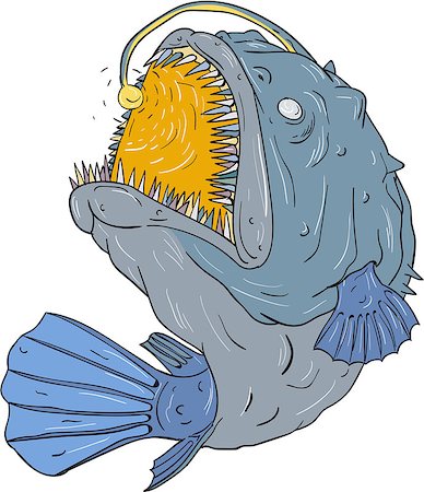 Drawing sketch style illustration of an Anglerfish of teleost order Lophiiformes that are bony fish named for their characteristic mode of predation, which a fleshy growth from fish's head (the esca or illicium) acts as a lure, swooping up viewed from the side set on isolated white background. Stock Photo - Budget Royalty-Free & Subscription, Code: 400-08919740