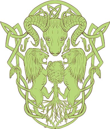 simsearch:400-04262308,k - Illustration of stylized bighorn sheep head with two lion supporters climbing on tree with Celtic knot, called Icovellavna, plait work or knotwork woven into unbroken cord design set on isolated white background. Stock Photo - Budget Royalty-Free & Subscription, Code: 400-08919787