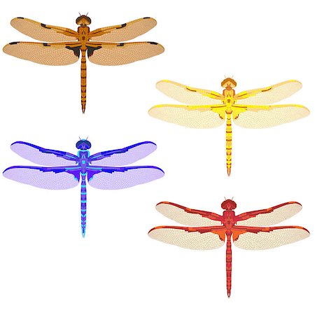 simsearch:400-08787096,k - multicolored mosaic set with dragonflies. isolated. vector illustration. Photographie de stock - Aubaine LD & Abonnement, Code: 400-08929842