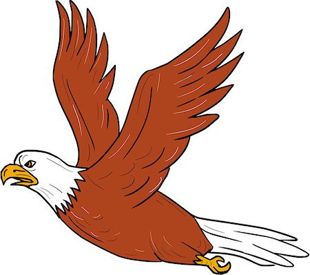 simsearch:400-07426854,k - Illustration of an angry eagle flying wings flapping viewed from the side set on isolated white background done in cartoon style. Stock Photo - Budget Royalty-Free & Subscription, Code: 400-08920010