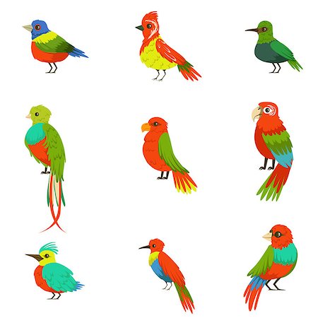 simsearch:400-04337211,k - Exotic Birds From Jungle Rain Forest Set Of Colorful Animals Including Species Of Paradise Birds And Parrots. Winged Fauna Of Southern Regions With Bright Color Feathers Vector Illustrations. Fotografie stock - Microstock e Abbonamento, Codice: 400-08934674