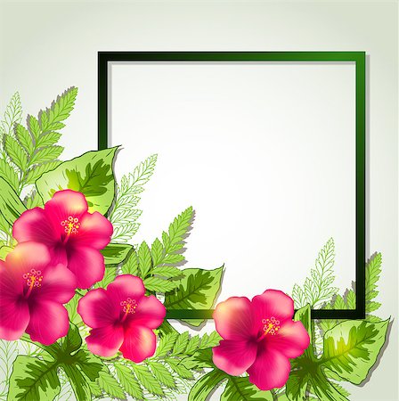 simsearch:400-09048464,k - Summer frame with red tropical flowers and leaves. Vector illustration. Stockbilder - Microstock & Abonnement, Bildnummer: 400-08935204
