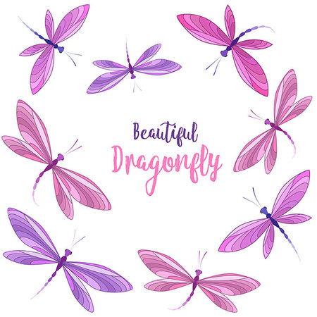 simsearch:400-08787096,k - Vector llustrace dragonfly on a white background. Brightly colored dragonflies in flight Photographie de stock - Aubaine LD & Abonnement, Code: 400-08936158