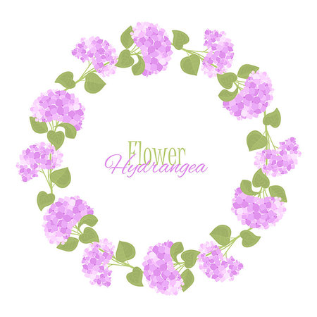 Vector illustration of flower hydrangea. Decoration of frame with flowers and leaves Stock Photo - Budget Royalty-Free & Subscription, Code: 400-08936648