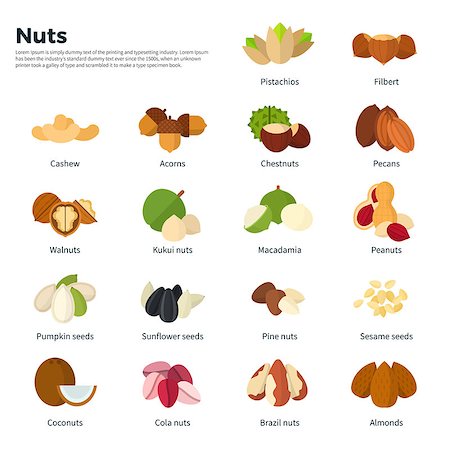 Collection of different nuts vector flat illustration. Healthy nutrition and vitamin concept. Heaps of different nuts, walnuts, cashews, almonds and others isolated on white background Photographie de stock - Aubaine LD & Abonnement, Code: 400-08936867