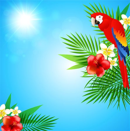 simsearch:400-09048464,k - Blue summer background with tropical flowers, green leaves and red parrot Stockbilder - Microstock & Abonnement, Bildnummer: 400-08937435