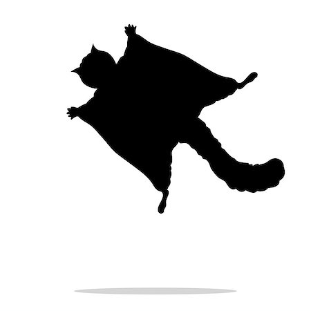 simsearch:400-08939460,k - Flying squirrel black silhouette animal. Vector Illustrator. Photographie de stock - Aubaine LD & Abonnement, Code: 400-08938846