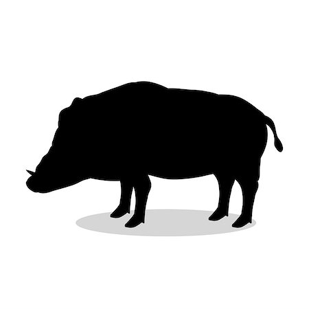 simsearch:400-08939460,k - Boar wildlife black silhouette animal. Vector Illustrator. Photographie de stock - Aubaine LD & Abonnement, Code: 400-08938840