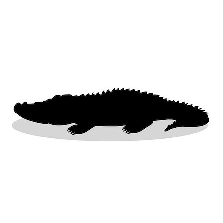 simsearch:400-08939421,k - Alligator predator reptile black silhouette animal. Vector Illustrator. Stock Photo - Budget Royalty-Free & Subscription, Code: 400-08938853