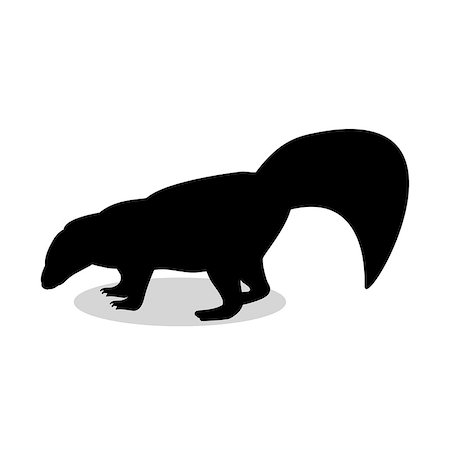 simsearch:400-08939460,k - Skunk mammal black silhouette animal. Vector Illustrator. Photographie de stock - Aubaine LD & Abonnement, Code: 400-08938864