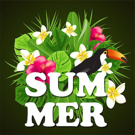 simsearch:400-09011216,k - Summer background with red tropical flowers, green palm leaves and toucan bird. Foto de stock - Super Valor sin royalties y Suscripción, Código: 400-08939002