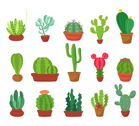 simsearch:400-09121573,k - Cactus cartoon flat style collection. Succulent plants in flowerpots isolated on white background . Vector illustration. Photographie de stock - Aubaine LD & Abonnement, Code: 400-08939267