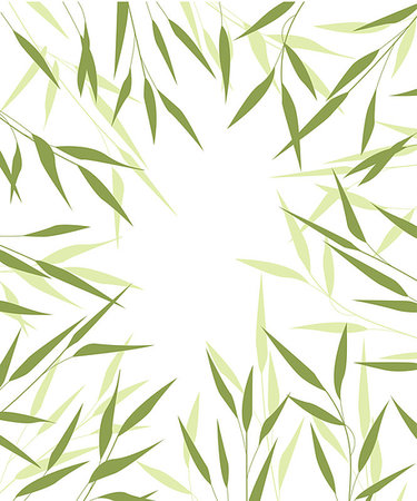 simsearch:400-07035863,k - Vector Illustration bamboo leaves. Background with green leaves Stockbilder - Microstock & Abonnement, Bildnummer: 400-08939366