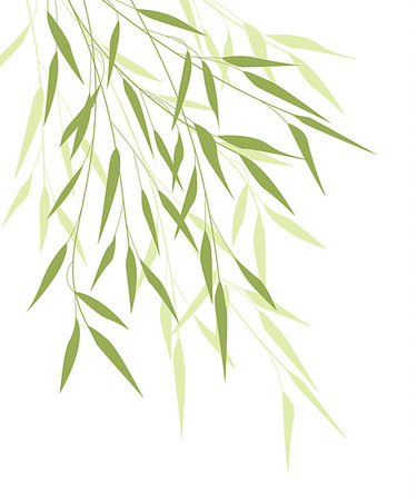 simsearch:400-07035863,k - Vector Illustration bamboo leaves. Background with green leaves Stockbilder - Microstock & Abonnement, Bildnummer: 400-08939370