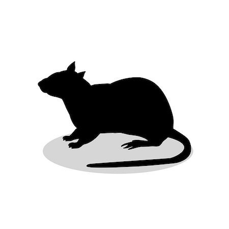 simsearch:400-08938554,k - Rat mouse rodent black silhouette animal. Vector Illustrator. Stock Photo - Budget Royalty-Free & Subscription, Code: 400-08939427