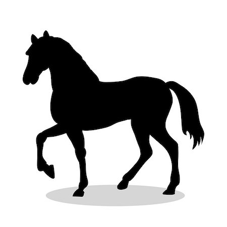 simsearch:400-07316355,k - Horse farm mammal black silhouette animal. Vector Illustrator. Stock Photo - Budget Royalty-Free & Subscription, Code: 400-08939436