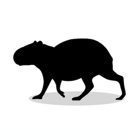 Capybara rodent mammal black silhouette animal. Vector Illustrator. Photographie de stock - Aubaine LD & Abonnement, Code: 400-08939447