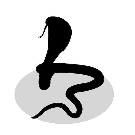 poisonous snake - Cobra snake reptile black silhouette animal. Vector Illustrator. Foto de stock - Super Valor sin royalties y Suscripción, Código: 400-08939452