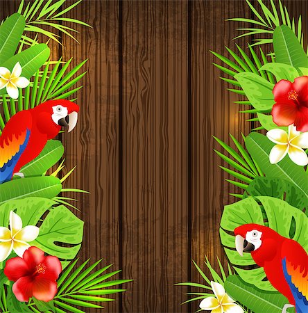 simsearch:400-09048464,k - Tropical flowers, green palm leaves and red parrots on a wooden background Stockbilder - Microstock & Abonnement, Bildnummer: 400-08939526