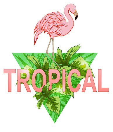 simsearch:400-09011216,k - Pink flamingo and tropical leaves on a green triangle background Foto de stock - Super Valor sin royalties y Suscripción, Código: 400-08939535