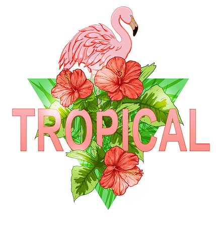 simsearch:400-09048464,k - Pink flamingo and red tropical flowers on a green triangle background Stockbilder - Microstock & Abonnement, Bildnummer: 400-08939538