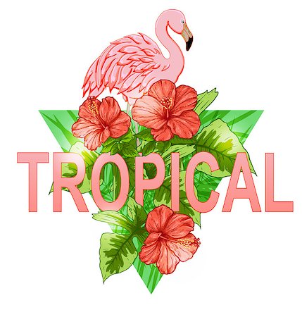 simsearch:400-09011216,k - Pink flamingo and red tropical flowers on a green triangle background Foto de stock - Super Valor sin royalties y Suscripción, Código: 400-08939538