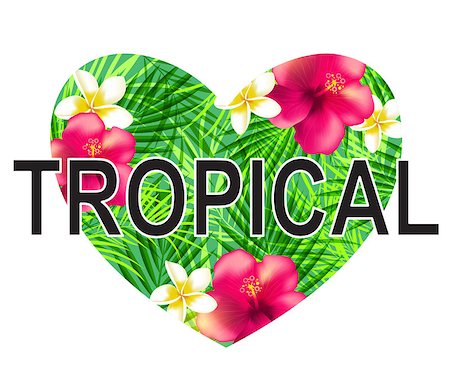 simsearch:400-09048464,k - Green heart of tropical palm leaves and red flowers on a white background Stockbilder - Microstock & Abonnement, Bildnummer: 400-08939533