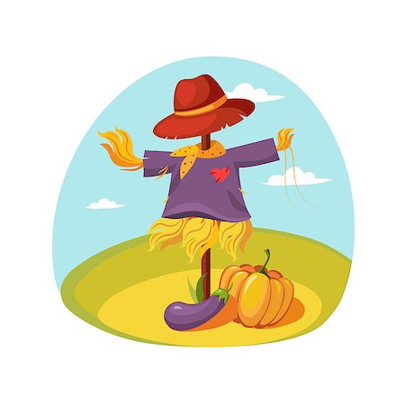 Scarecrow In Clothes Standing On A Field With Pumpkin Under , Farm And Farming Related Illustration In Bright Cartoon Style. Organic And Natural Product Symbol Colorful Vector Illustration. Stock Photo - Budget Royalty-Free & Subscription, Code: 400-08930147