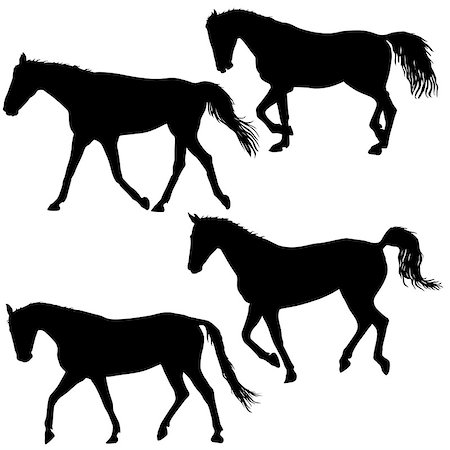 Set silhouette of black mustang horse vector illustration. Stock Photo - Budget Royalty-Free & Subscription, Code: 400-08930827